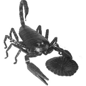 Скорпіон свічник (ковка)